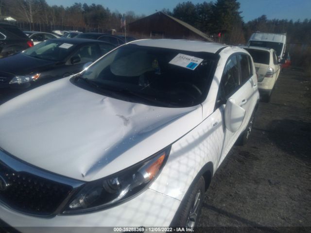 KNDPBCAC5F7780676 KIA Sportage Lx