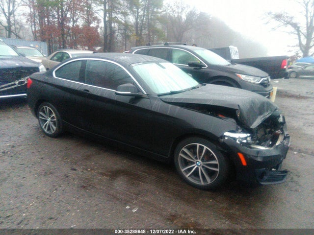 2018 BMW 2 Series, VIN: WBA2J3C51JVD48750