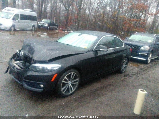 2018 BMW 2 Series, VIN: WBA2J3C51JVD48750