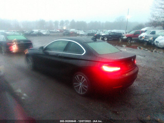 2018 BMW 2 Series, VIN: WBA2J3C51JVD48750