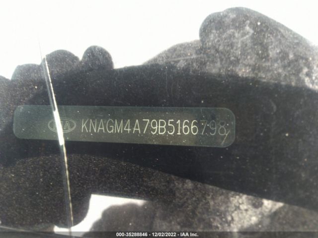 KNAGM4A79B5166798 KIA Optima
