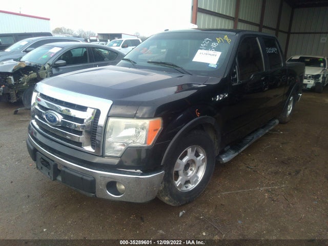 2011 FORD F-150 XL/XLT/FX2/LARIAT VIN: 1FTFW1CF8BFA39630