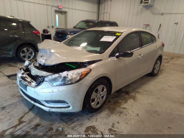 KNAFK4A66F5291451 KIA FORTE LX