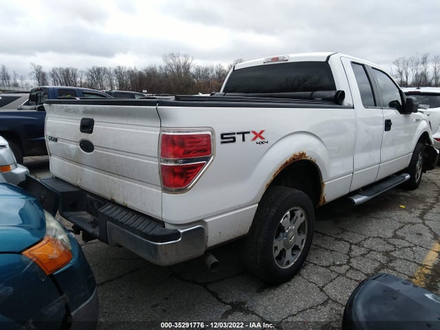 2009 FORD F-150 STX/XLT/XL VIN: 1FTRX14819FA98491