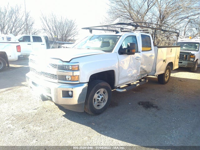 2019 Chevrolet Silverado 2500, VIN: 2GC2KSEG1K1206679