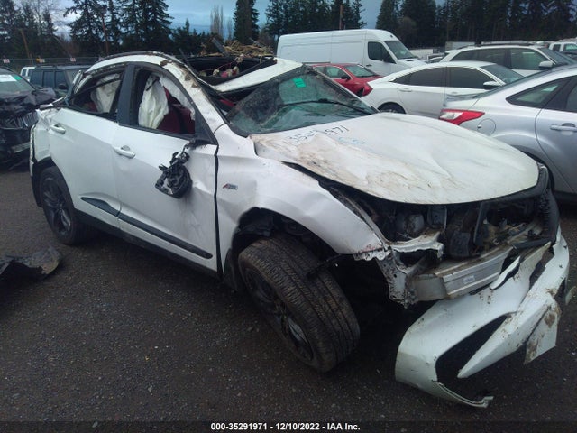 2019 5J8TC2H61KL030538 главное изображение