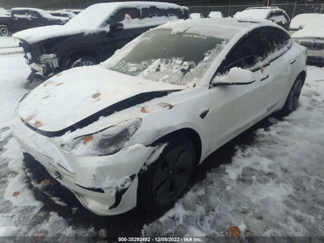 Tesla MODEL 3 2021 5YJ3E1EA7MF930443 Image 2