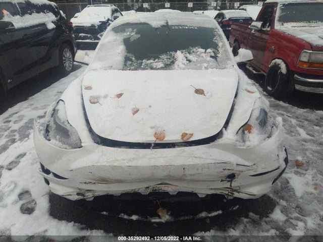 Tesla MODEL 3 2021 5YJ3E1EA7MF930443 Image 7