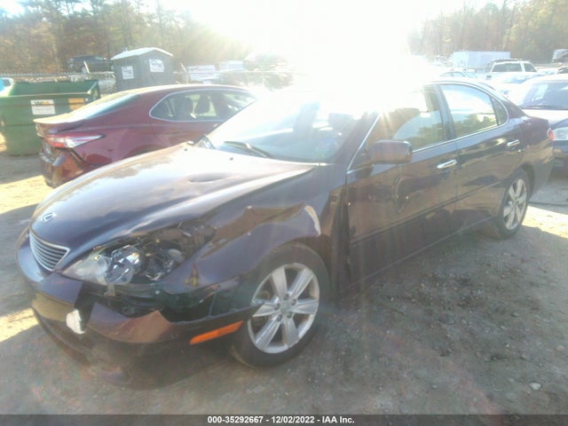 Lexus ES 330 2005 JTHBA30G055061331 Image 2
