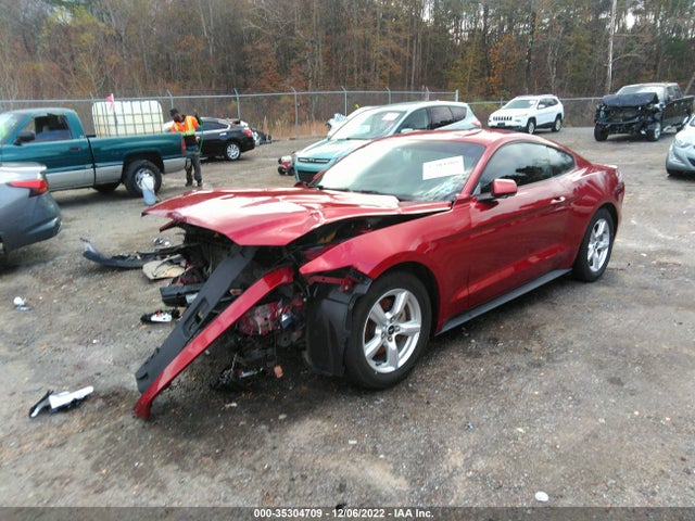 2015 Ford Fastback, VIN: 1FA6P8AM0F5335640