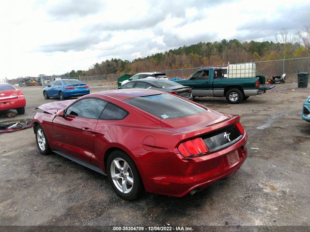 2015 Ford Fastback, VIN: 1FA6P8AM0F5335640