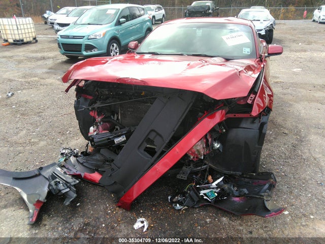 2015 Ford Fastback, VIN: 1FA6P8AM0F5335640