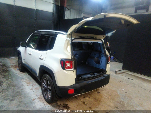 2018 Jeep Renegade, VIN: ZACCJBDBXJPH01576