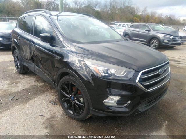 2019 Ford Escape, VIN: 1FMCU0GD0KUA06169