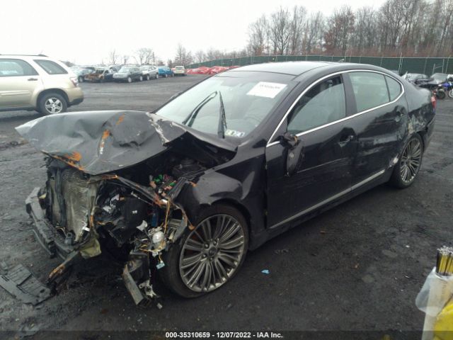 KNALN4D77E5157447 KIA Cadenza Limited