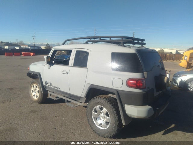 2007 TOYOTA FJ CRUISER VIN: JTEBU11F970030075