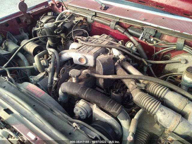 1991 FORD F150 VIN: 1FTDF15Y8MNB01932