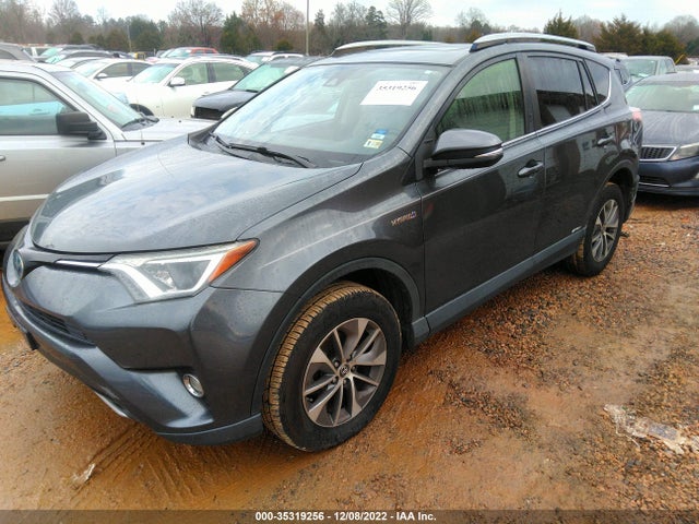 2017 Toyota RAV4, VIN: JTMRJREV9HD119988