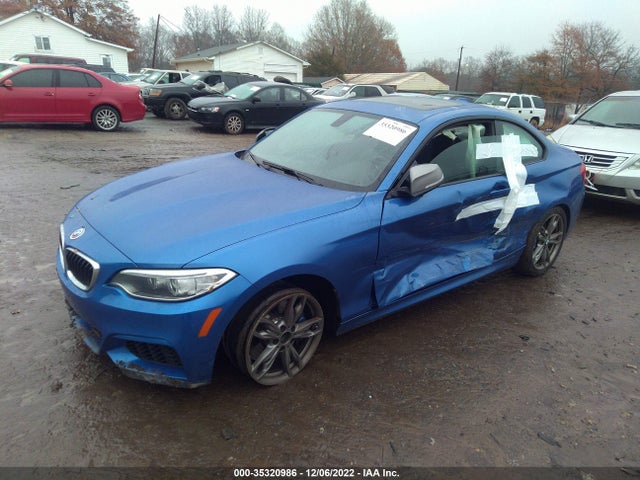 2016 BMW 2 Series, VIN: WBA1J7C51GV359966