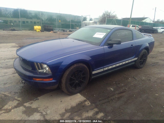 2005 FORD MUSTANG DELUXE/PREMIUM VIN: 1ZVFT80N255248267