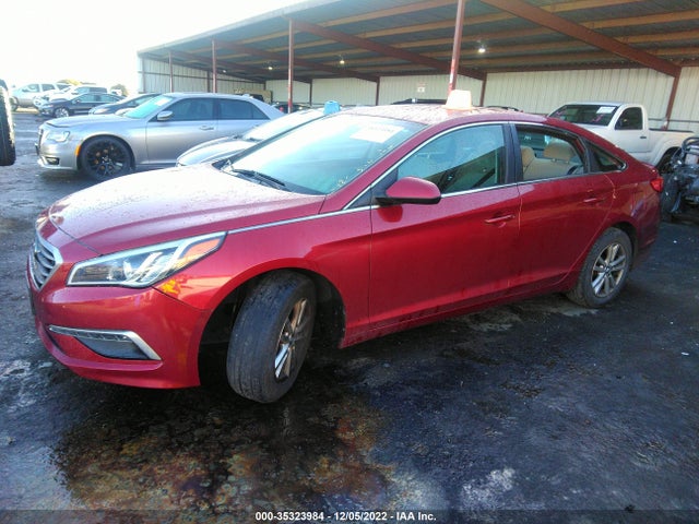 2015 HYUNDAI SONATA 2.4L SE VIN: 5NPE24AFXFH174762