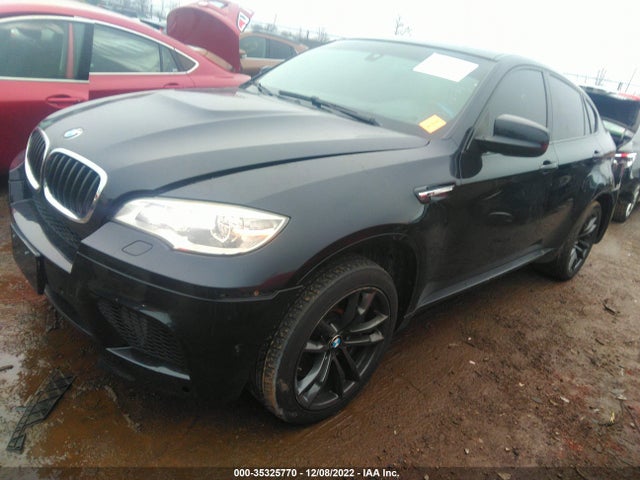 BMW X6 M 2014 5YMGZ0C53E0C40365 Image 2