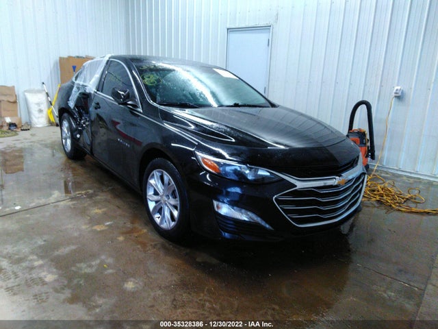 2019 Chevrolet Malibu, VIN: 1G1ZD5ST5KF195313