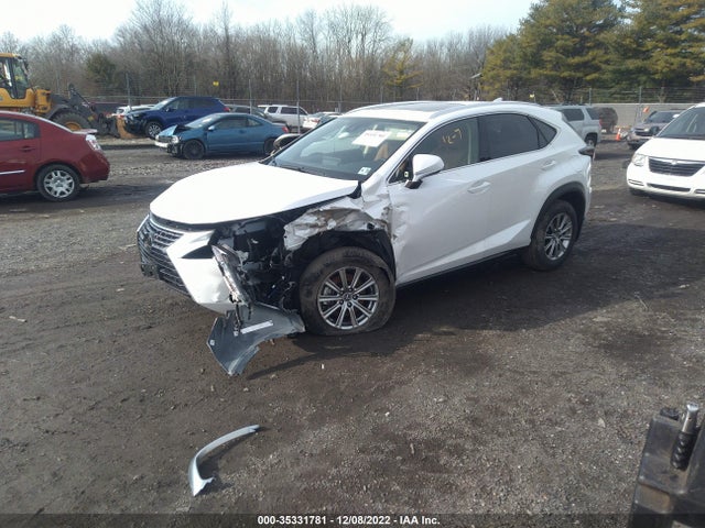 2020 Lexus NX, VIN: JTJDARDZ8L5015300