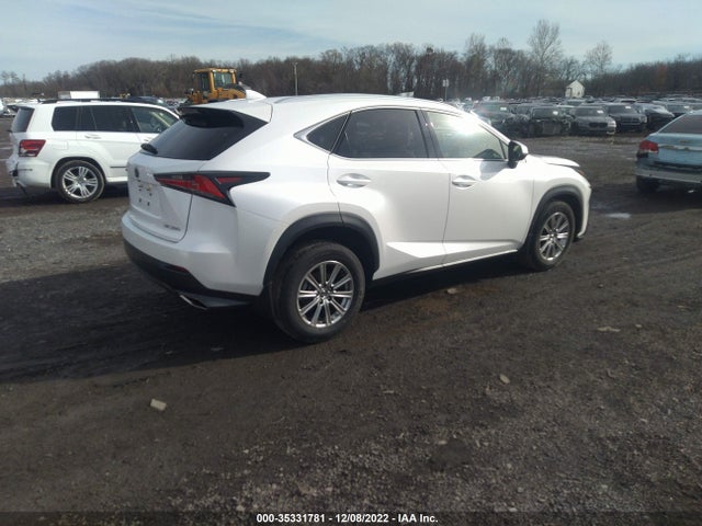 2020 Lexus NX, VIN: JTJDARDZ8L5015300