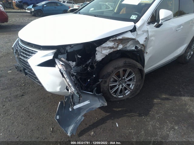 2020 Lexus NX, VIN: JTJDARDZ8L5015300