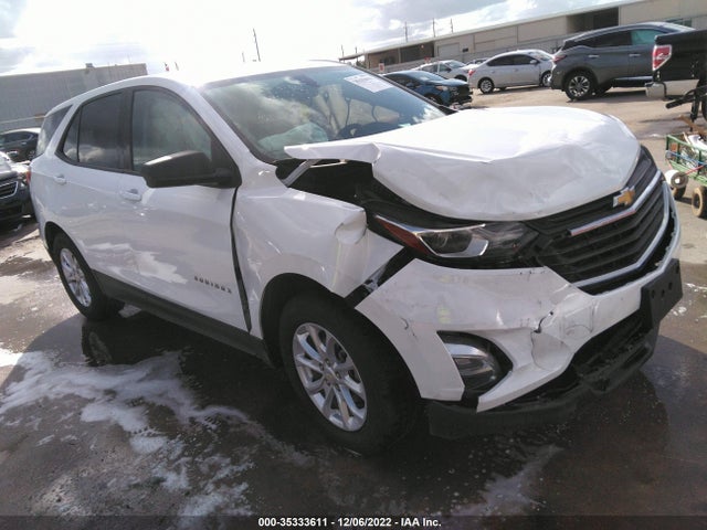 Chevrolet EQUINOX LS 2019 3GNAXHEVXKS659628 Image 1