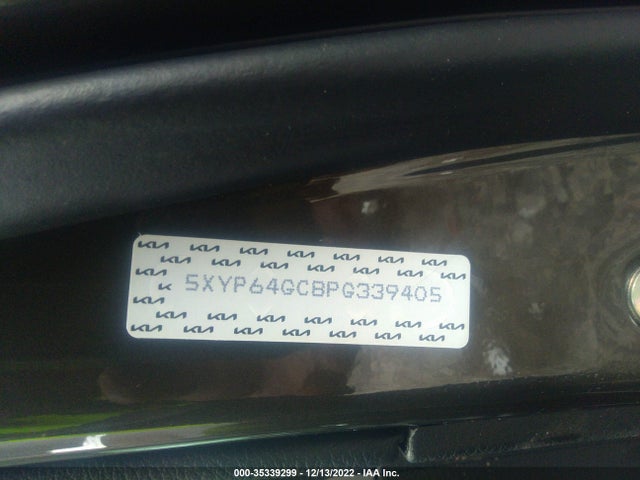 2023 Kia Telluride, VIN: 5XYP64GC8PG339405
