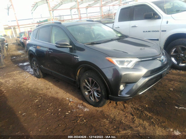 2016 Toyota RAV4, VIN: JTMRJREV6GD043368