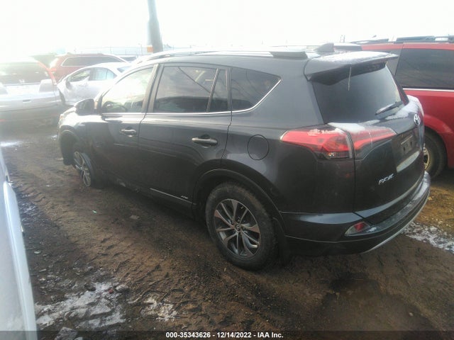 2016 Toyota RAV4, VIN: JTMRJREV6GD043368