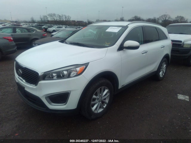 2017 KIA SORENTO LX VIN: 5XYPGDA39HG211309