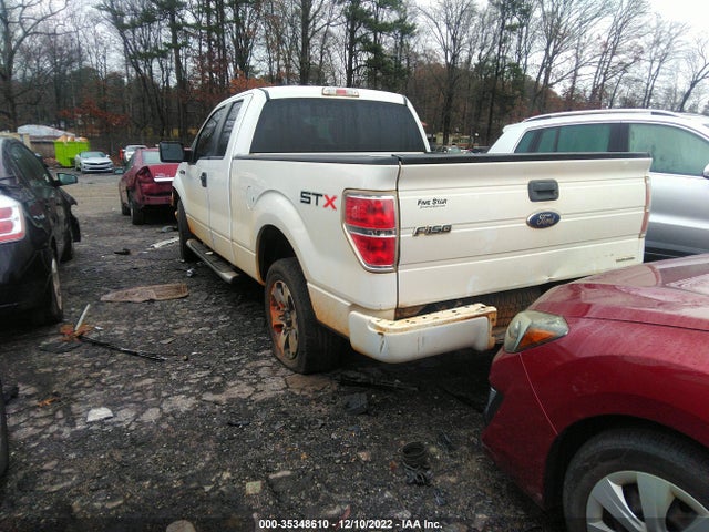 2013 FORD F-150 XL/STX/XLT/FX2/LARIAT VIN: 1FTFX1CF3DFC02734