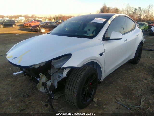 Tesla Model Y 2022 7SAYGDEE3NF323707 Image 2