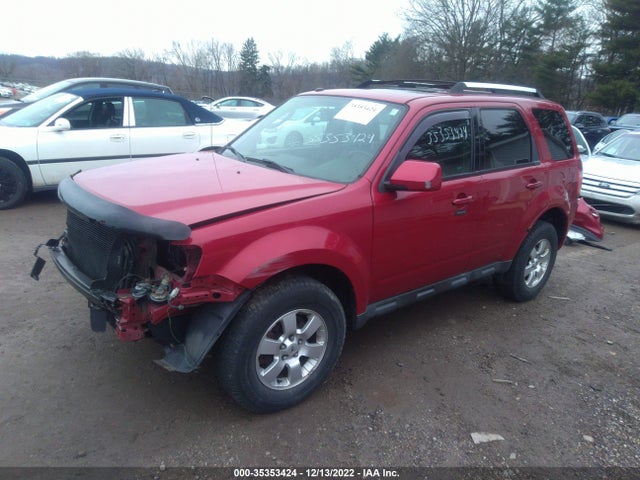 2011 FORD ESCAPE LIMITED VIN: 1FMCU9EGXBKA37250