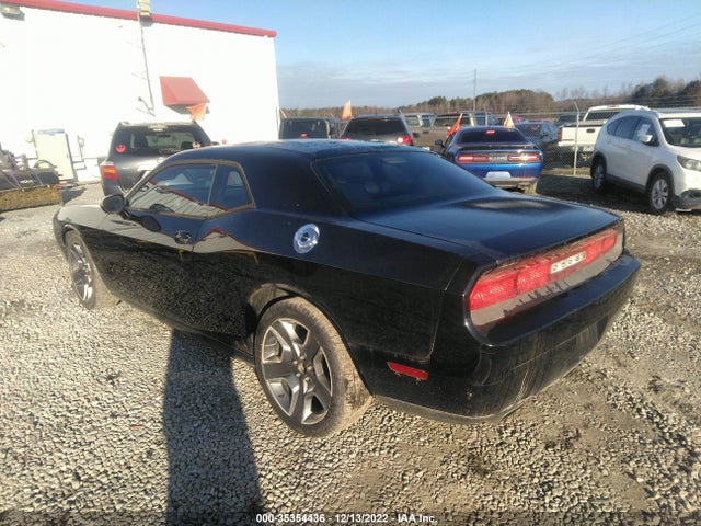 2014 DODGE CHALLENGER SXT VIN: 2C3CDYAG7EH206564