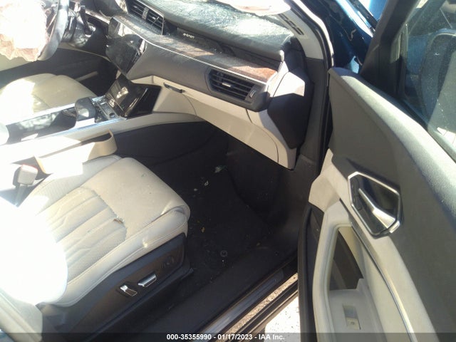 2019 Audi e-tron, VIN: WA1VAAGE8KB009167