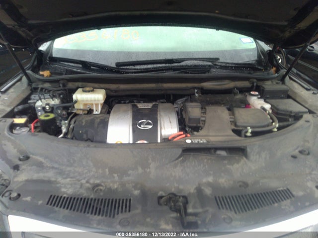 2019 Lexus RX, VIN: JTJDGKCA6K2007567