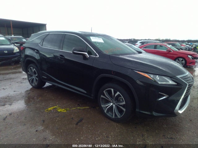 2019 Lexus RX, VIN: JTJDGKCA6K2007567