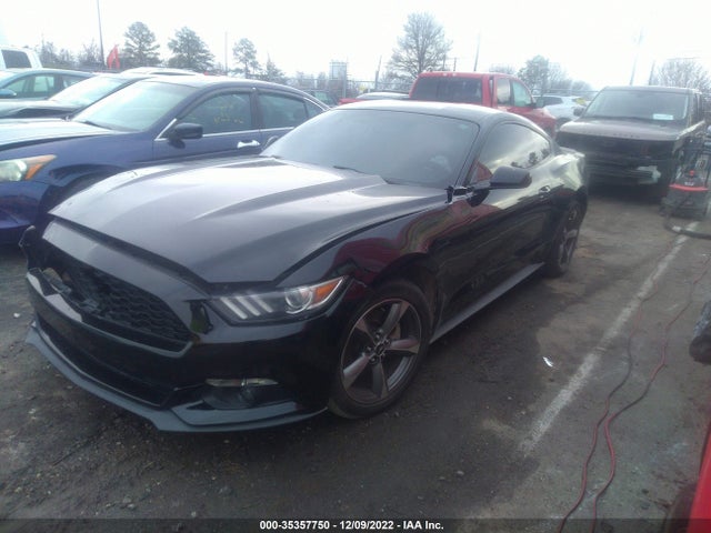 2015 Ford Fastback, VIN: 1FA6P8AM9F5333479