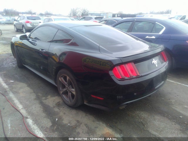 2015 Ford Fastback, VIN: 1FA6P8AM9F5333479