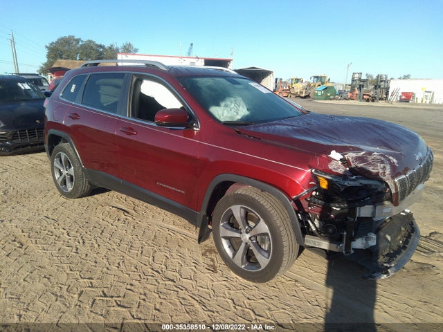 2019 JEEP CHEROKEE LIMITED VIN: 1C4PJLDB1KD366120