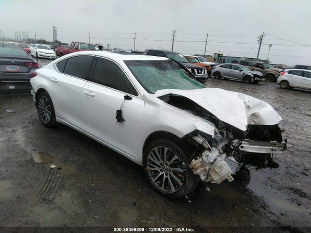 2019 Lexus ES, VIN: JTHB21B10K2022794