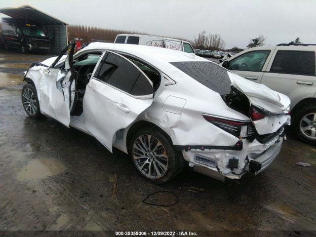 2019 Lexus ES, VIN: JTHB21B10K2022794