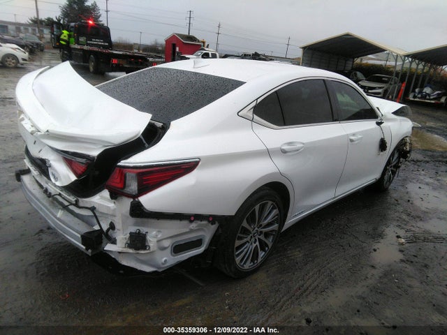 2019 Lexus ES, VIN: JTHB21B10K2022794