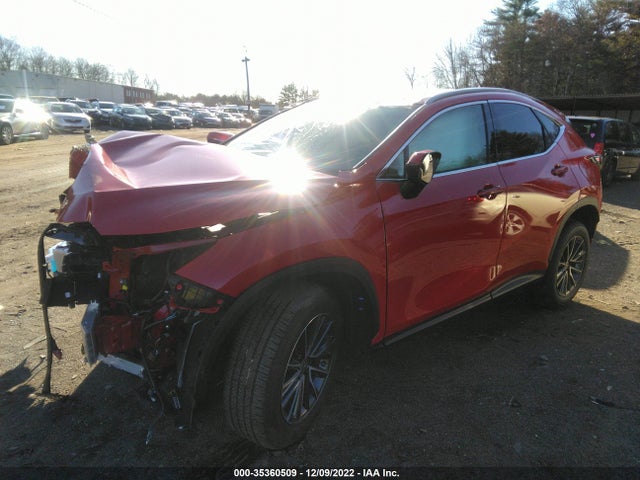 2022 Lexus NX, VIN: 2T2GGCEZ7NC010116