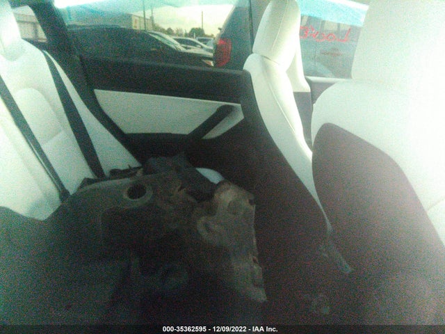 Tesla Model 3 Standard Range Plus 2021 5YJ3E1EA5MF854365 Image 8